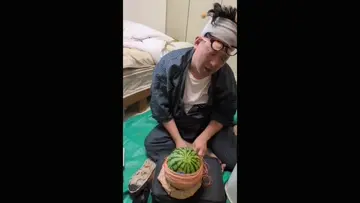 頭vsスイカ