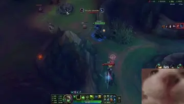 4k de TW