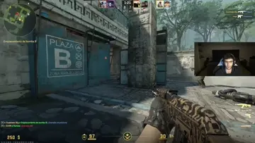xd