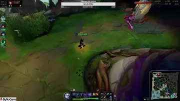 clean