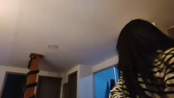 #maltratoanimal
