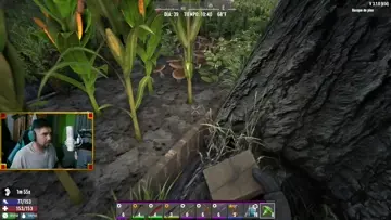 Estan raros los hongos