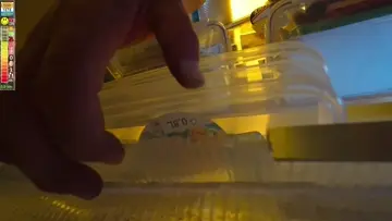 Test clip
