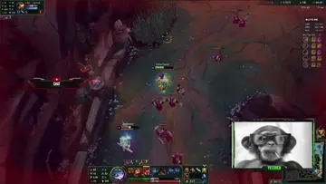 GG T5cada