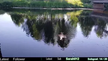 fail catch