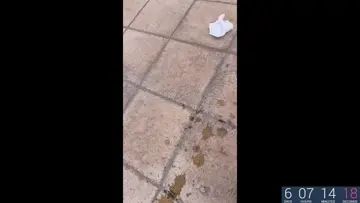 انكبت القهوه