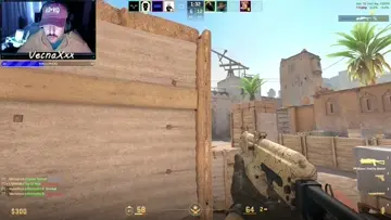 bison chaos
