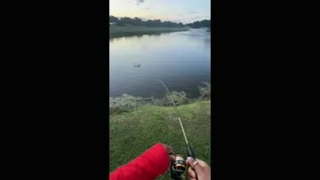 Got em #FemaleAngler