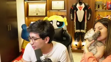 que ternura de gato