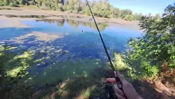 🇭🇺🐊 Monster-Jagd mit dem Krautfrosch! 🐸