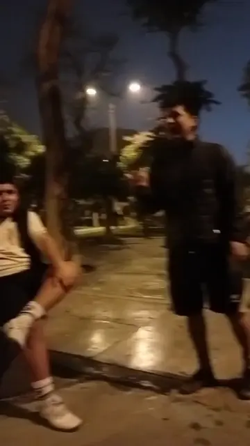 xd