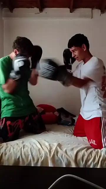 box en cama