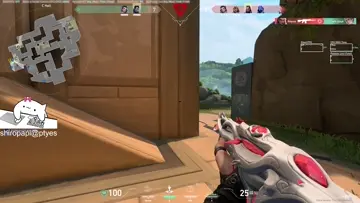 pasha gamer