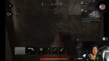 Spider fight