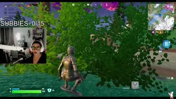 top 4 bush