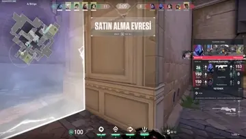 bela