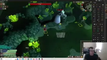 TWISTED BOW