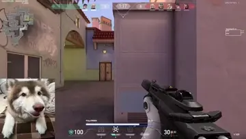 Easy Ace 