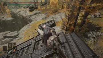 bug