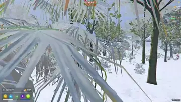 pov