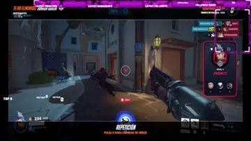 Overwatch 2 jetpack cat
