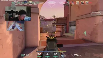 ace ace