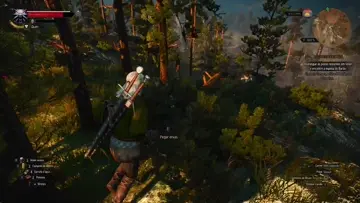 Combat - The Witcher 3