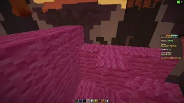 XDDD