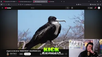 ♥️YouTube Rabbi Rothschild discord.gg/pXv9hTu72a