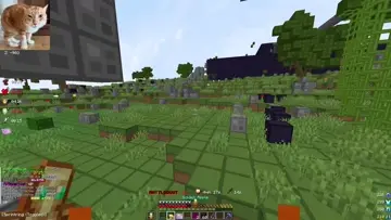 ???