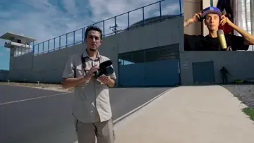 50 hormigas
