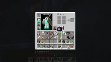 pis creeper