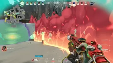 zizi reaction time
