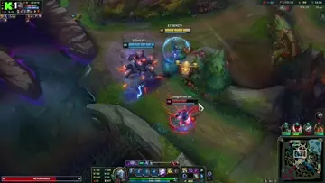 ez pared