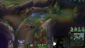 fight en la jungla