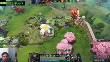 apanado3