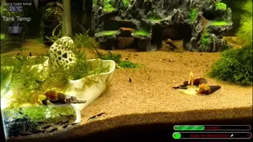 First feeding thanks to the sub!