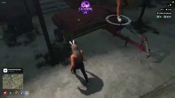 LA RATA QUE SE CREE GATO JAJAJA