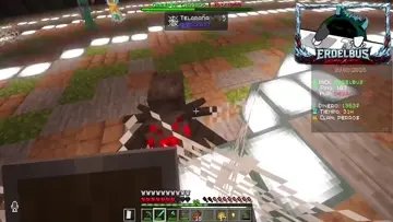endermite de mrd