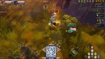 HEALER DPS