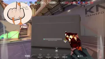 5k