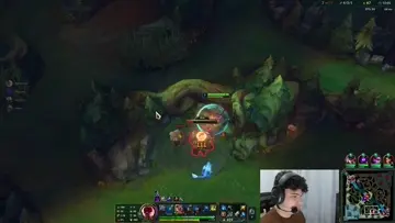 Insec clean