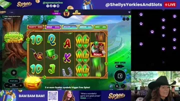 Paddys payouts shelly