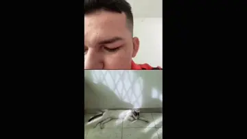 vida cotidiana