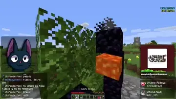 speedrun Bro 