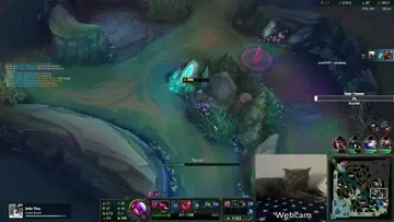 AleexKat se duce stormsurge MOMENT IN HISTORY