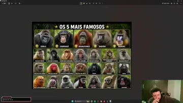 RANKEANDO MACACTOS