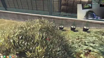 1st