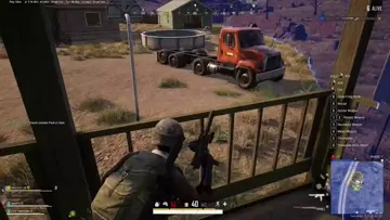 Chicken 4