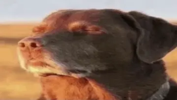 ooooo